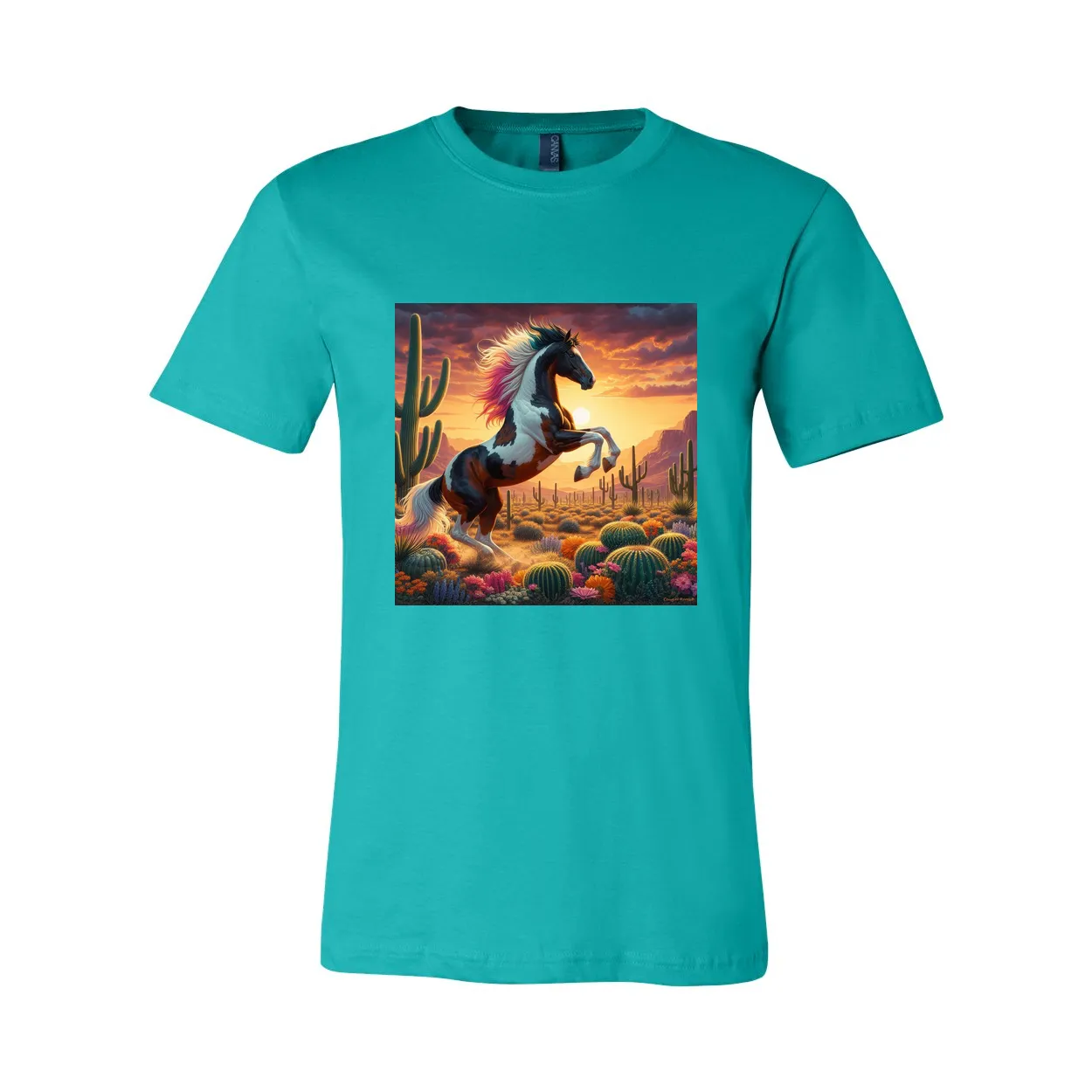 Painted Desert Horse T Shirts