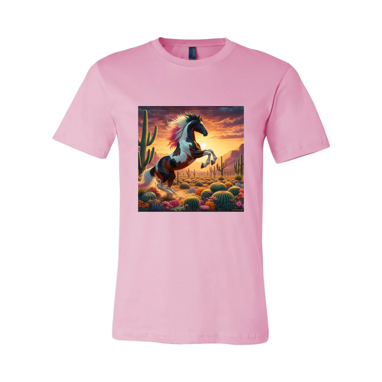 Painted Desert Horse T Shirts