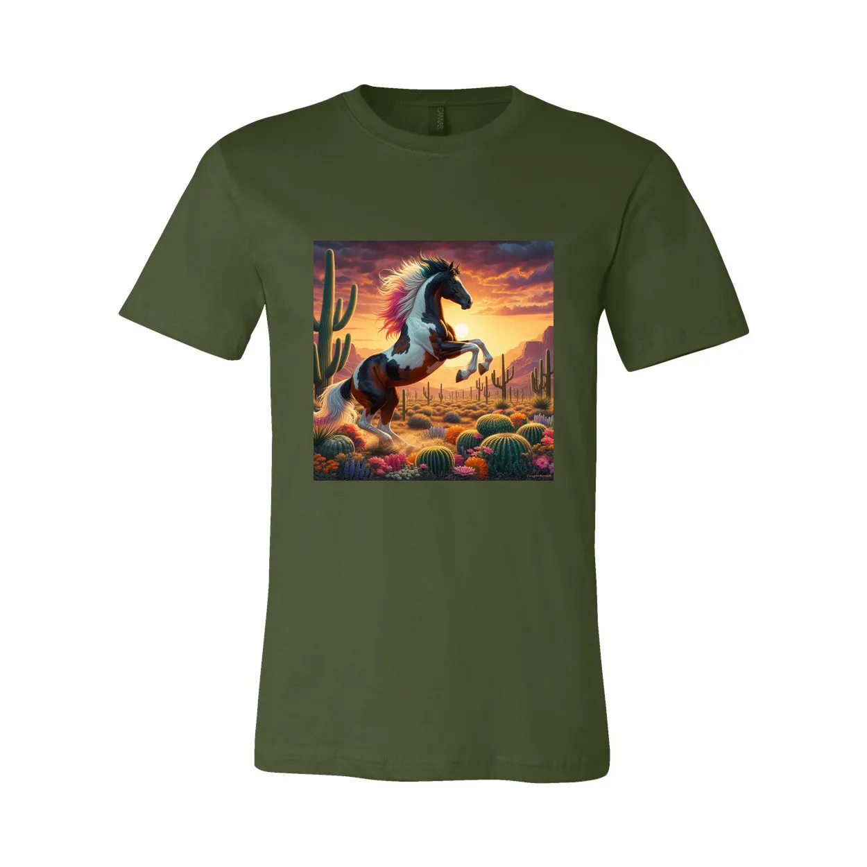 Painted Desert Horse T Shirts